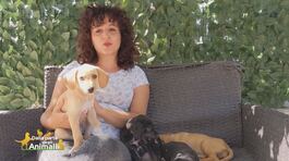 Ilenia e le 4 cucciole salvate thumbnail