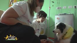 L'amore che cura: la pet therapy thumbnail