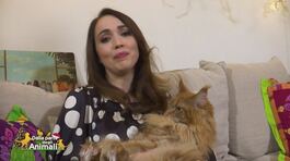 Gli amici pelosetti di: Chiara Francini thumbnail