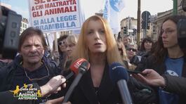 La Lega Italiana per la difesa degli animali e l'ambiente sempre in prima linea thumbnail