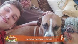 La nuova famiglia di Thiago thumbnail