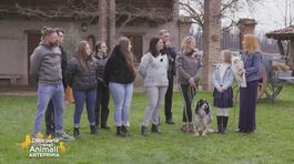 Animal Touch -Pet Therapy thumbnail