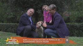 Susy, la cagnolina della famiglia di Alessandro Cecchi Paone thumbnail