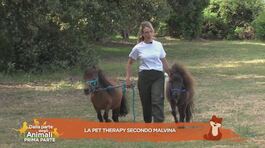 La pet therapy secondo Malvina thumbnail