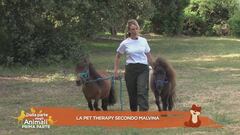 La pet therapy secondo Malvina