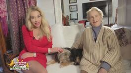 Peppa, la cagnolina stellare di: Gianna e Valeria Marini thumbnail