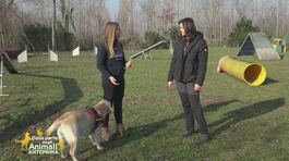 Impariamo divertendoci thumbnail