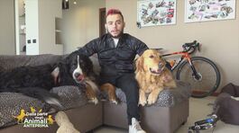 La storia di Andrea Pusateri, atleta paralimpico thumbnail