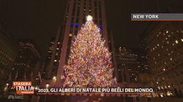 2023, gli alberi di Natale più belli del mondo thumbnail