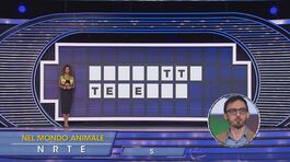 L'ultima ruota di Salvatore thumbnail