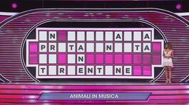 Manche musicale: animali in musica thumbnail