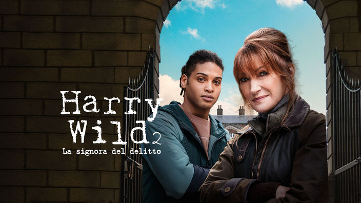 Harry Wild - La signora del delitto