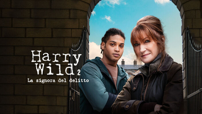 Harry Wild - La signora del delitto