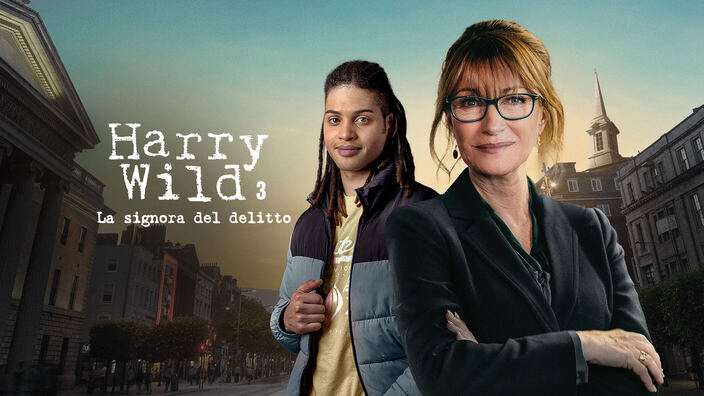 Harry Wild - La signora del delitto 3