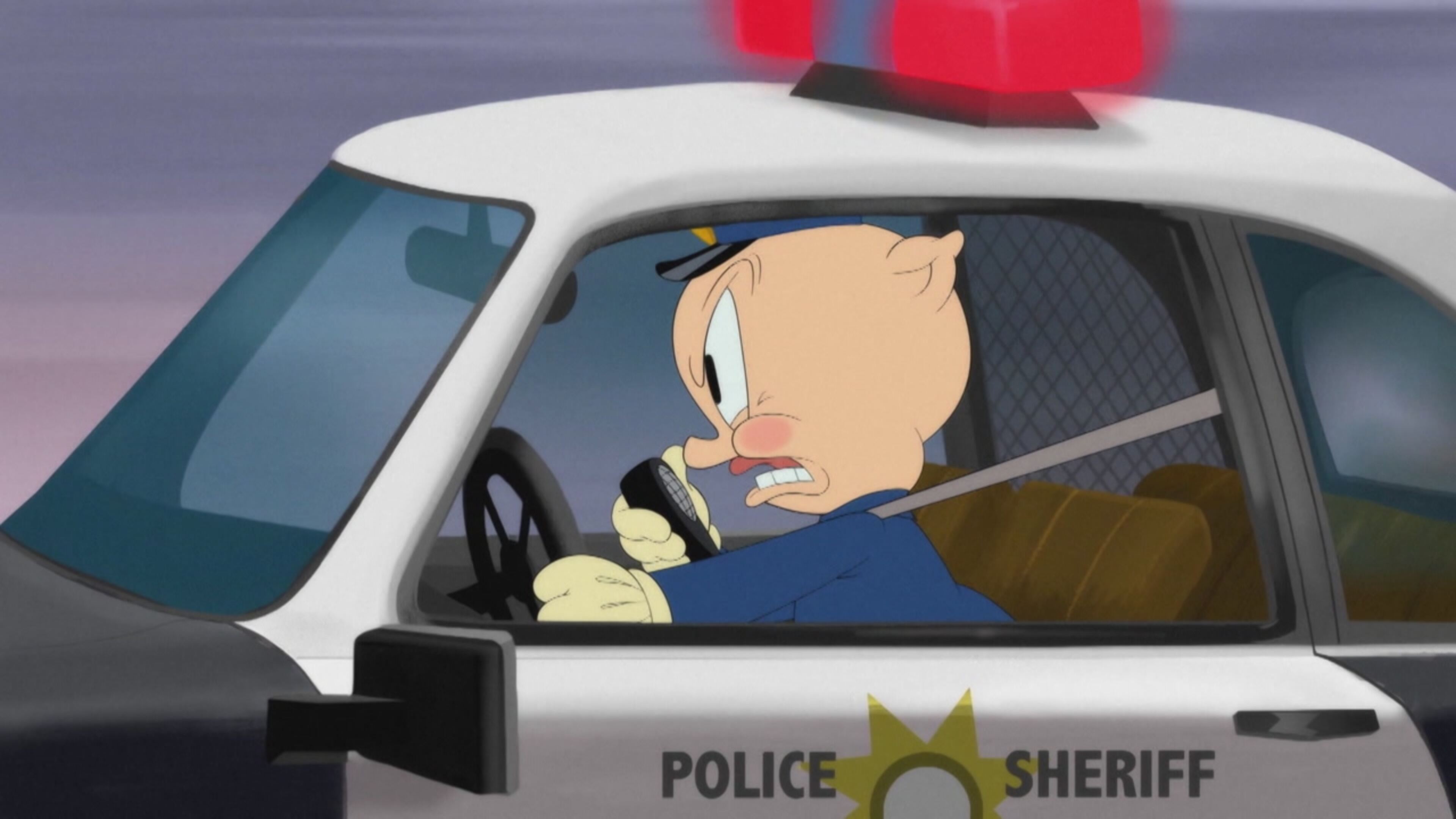 Looney Tunes Cartoons