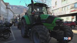 Protesta dei trattori in Italia e in Europa thumbnail