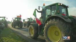 La marcia dei trattori "Regole troppo rigide" thumbnail