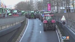 Trattori a Bruxelles Europa sotto accusa thumbnail