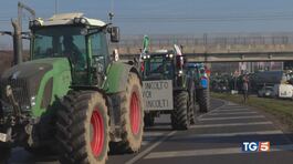 La marcia dei trattori "Arriveremo a Roma" thumbnail