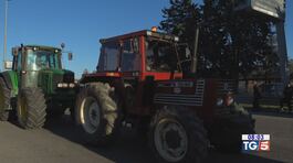 Agricoltori in marcia sono alla porte di Roma thumbnail