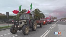 Trattori e mucche, monta la protesta thumbnail