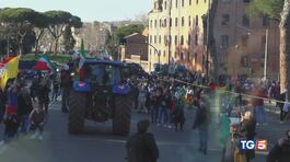 I trattori a Roma, "Ue cambi politica" thumbnail