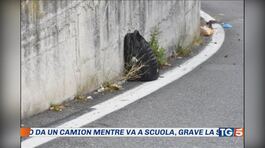Ucciso da un camion mentre va a scuola thumbnail