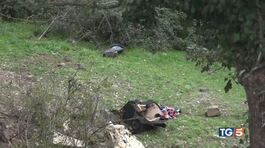 4 morti nello schianto tornavano dal lavoro thumbnail