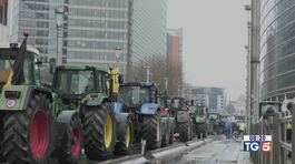 Trattori a Bruxelles, Lollobrigida: "Reddito dignitoso" thumbnail