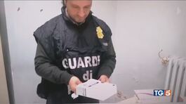 Allarme truffe con e senza I.A. thumbnail