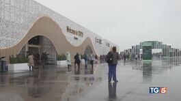 Cop29, mille miliardi per salvare la Terra thumbnail