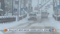 Arriva il freddo artico con neve e vento forte