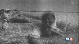 Holodomor - il genocidio per fame thumbnail