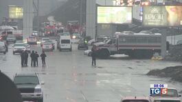 Comitato sicurezza, attenti a lupi solitari thumbnail