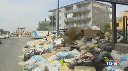 Ecomafie, 900mila reati ai danni dell'ambiente thumbnail