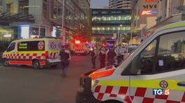 La strage di Sydney, "Non è terrorismo" thumbnail