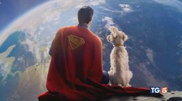 Superman: le prime immagini del nuovo film thumbnail