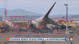 Sciagura aerea Corea, è giallo sulle cause thumbnail