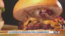 Hamburger e Casa Bianca thumbnail