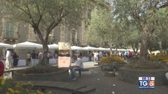 Gusto diVino: "Piccolo è Bello 2024"