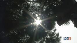 Verso il caldo record fino a 44 gradi al sud thumbnail