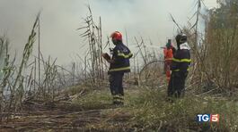Caldo, siccità e allarme incendi thumbnail