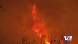 Incendi: muoiono due vigili del fuoco thumbnail