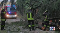 Maltempo al nord, afa e incendi al sud