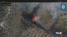 Emergenza incendi piromani in azione thumbnail