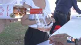 Bere Rosa: alla scoperta dei vini rosè thumbnail
