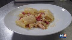 Gusto: Paccheri con melanzane, mazzancolle e pecorino