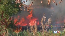 Siccità e incendi, l'Italia rovente thumbnail