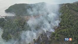 La piaga degli incendi nell'estate più calda thumbnail