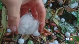 Afa, roghi e grandine acqua, il grande spreco thumbnail